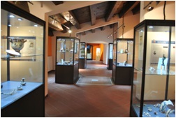 Museo di Cetraro