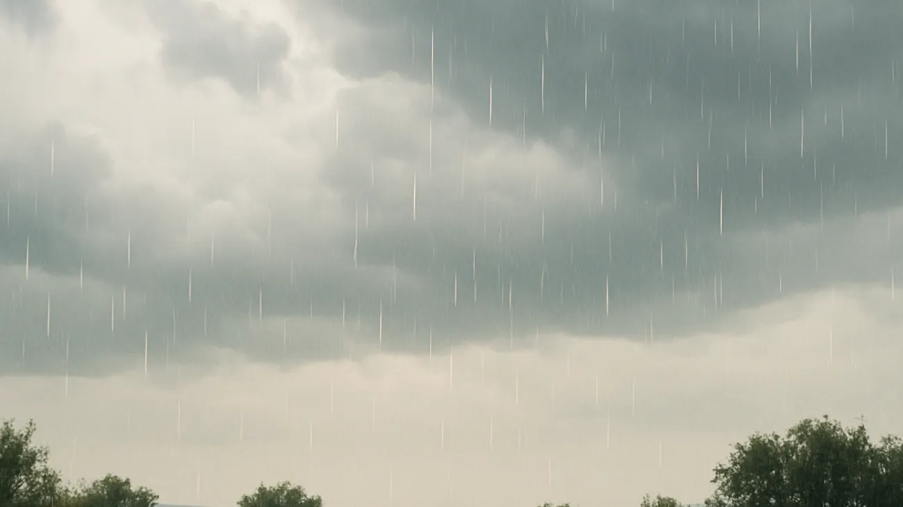 Meteo"